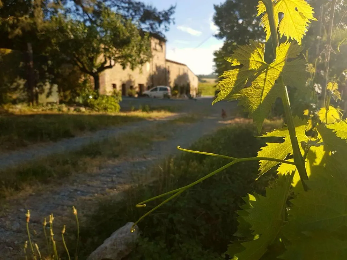 Agriturismo Podere Molino Peccioli Italien