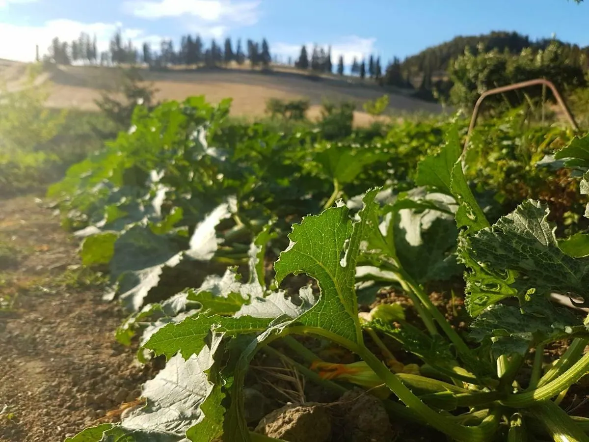 Agriturismo Podere Molino Peccioli Ferienhaus