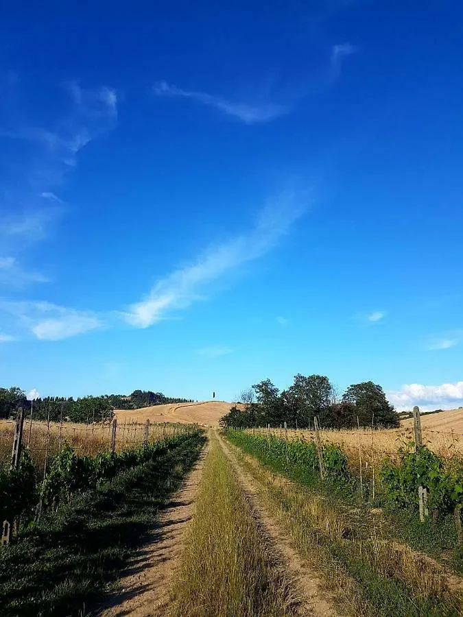 Agriturismo Podere Molino Peccioli